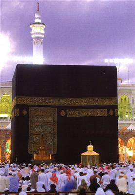 بعض جوانب الإعجاز العلمي في سورة يوسف
