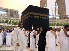 القرآن شريعة كونية