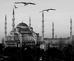 حاجة المسلمين إلى تعلم فقه التمكين