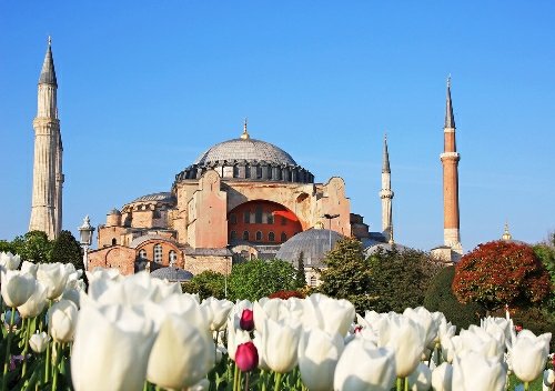 قرآننا يُعجز ذوي البلاغة والبيان.. عرباً وعجماً