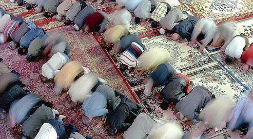 لوفيجارو تلقى الضوء على انتشار الإسلام بالبرازيل