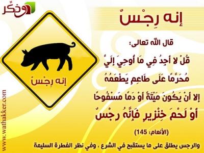 الآداب الإسلامية للوقاية من أنفلونزا الخنازير