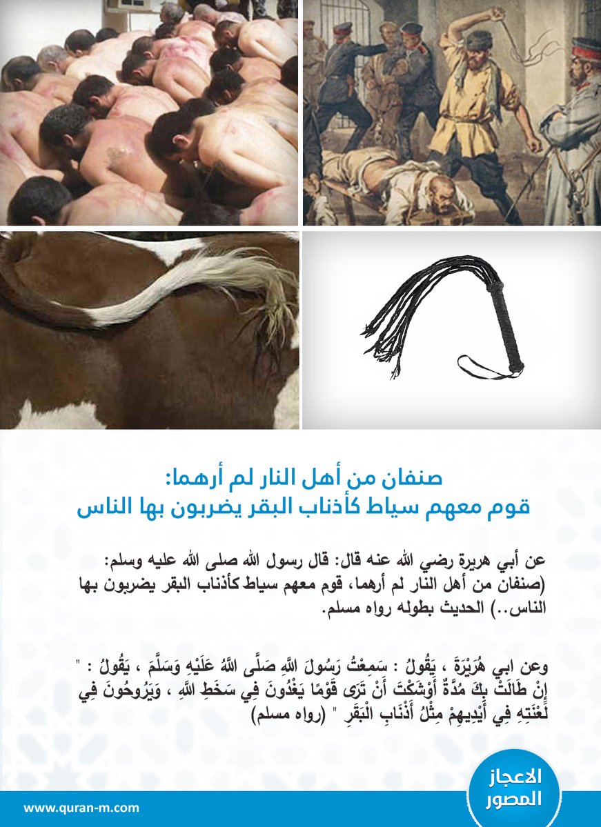 صنفان من أهل النار لم أرهما،