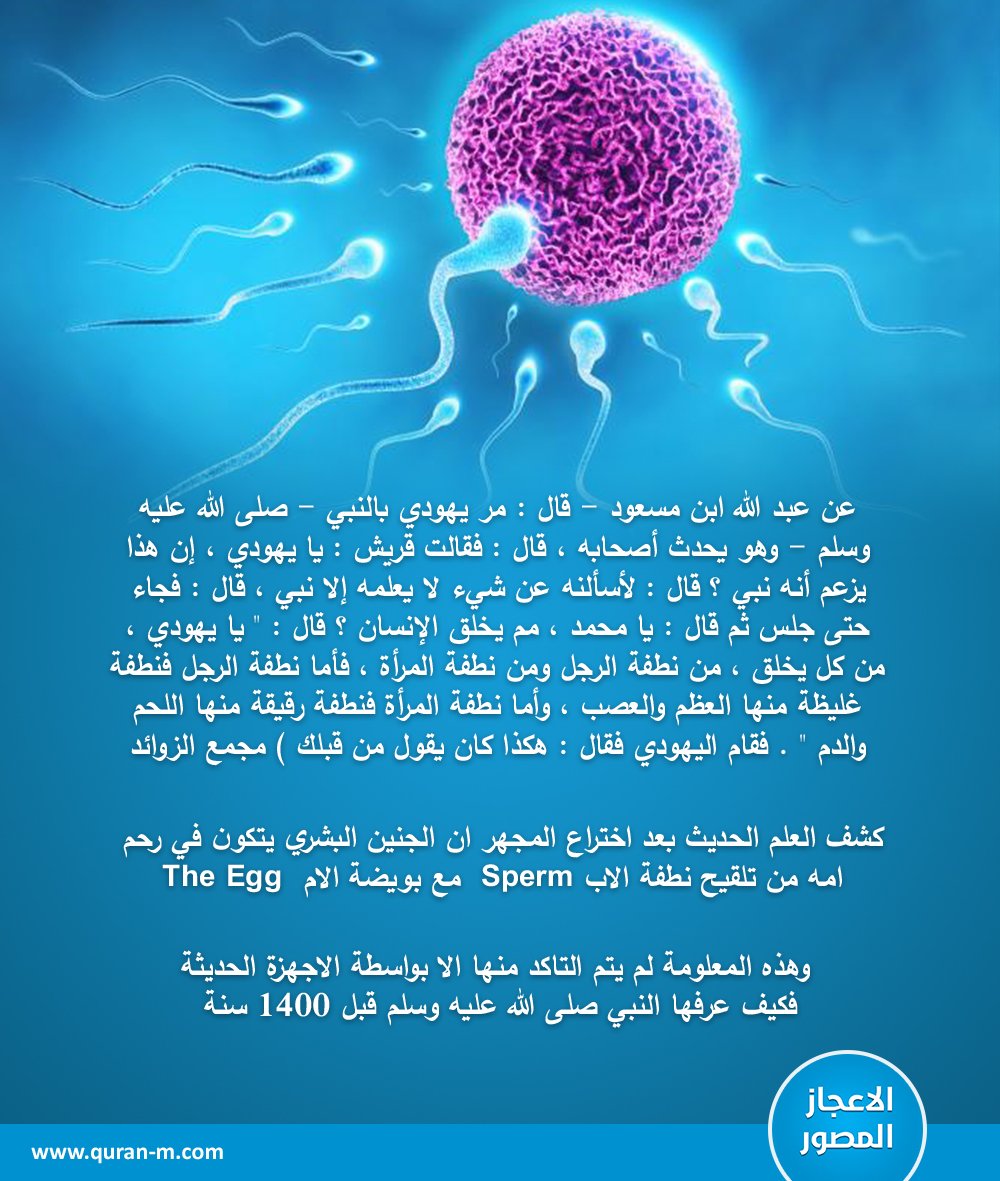 مم يخلق الإنسان ؟ مم يخلق الإنسان ؟