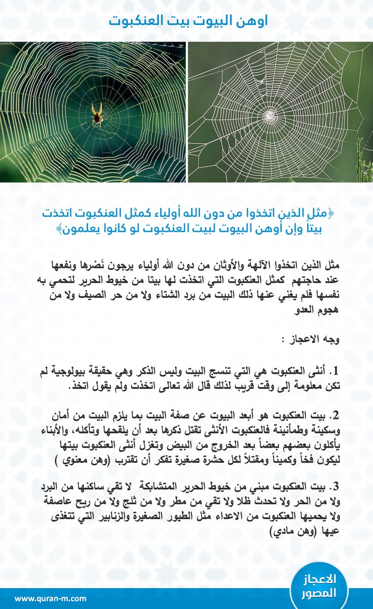 (وَإِنَّ أَوْهَنَ الْبُيُوتِ لَبَيْتُ الْعَنكَبُوتِ لَوْ كَانُواْ يَعْلَمُون)