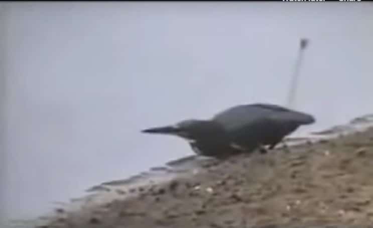 Screenshot_37