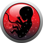 embryo-159691_1280