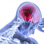 brain-g14d604eab_1280