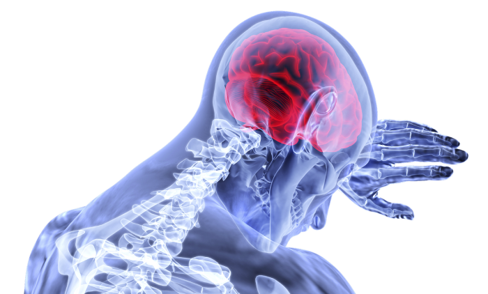 brain-g14d604eab_1280