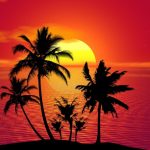 tropical-1651423_1280