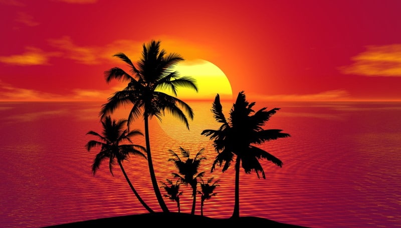 tropical-1651423_1280