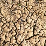 dry-soil-3453323_1280