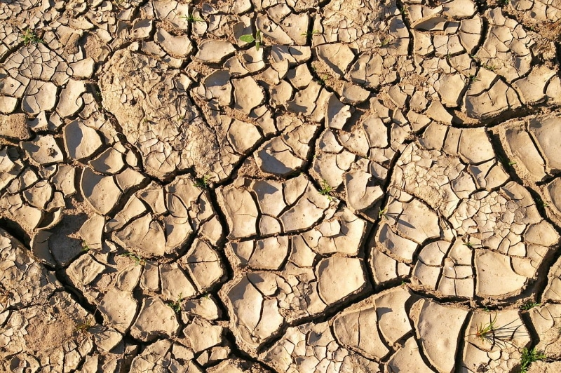 dry-soil-3453323_1280
