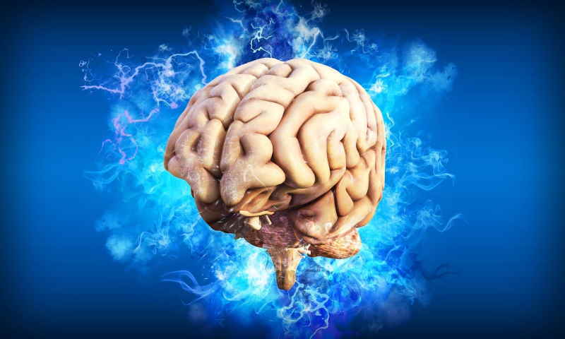 brain-g7c2d70f03_1280