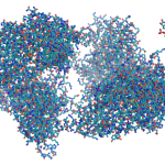 800px-Hexokinase_ball_and_stick_model,_with_substrates_to_scale_copy