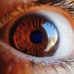 eye-4103308_960_720