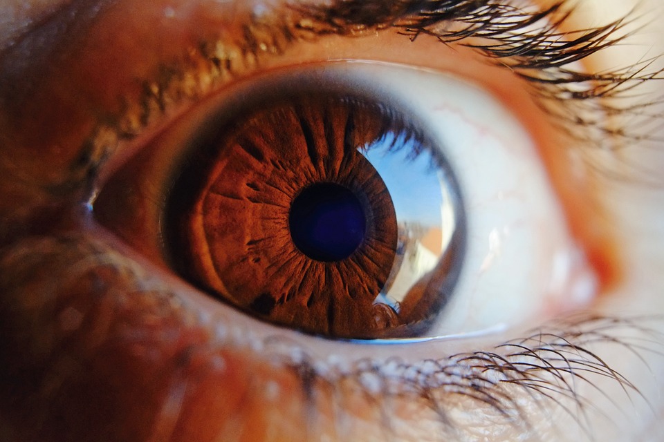 eye-4103308_960_720